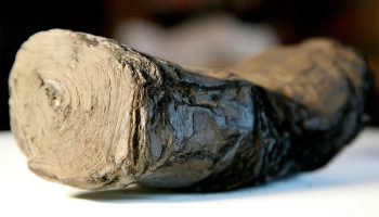 Entire papyrus scroll deciphered using AI