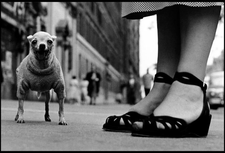 Elliott Erwitt.  New York, USA, 1946. © Elliott Erwitt / Magnum Photos