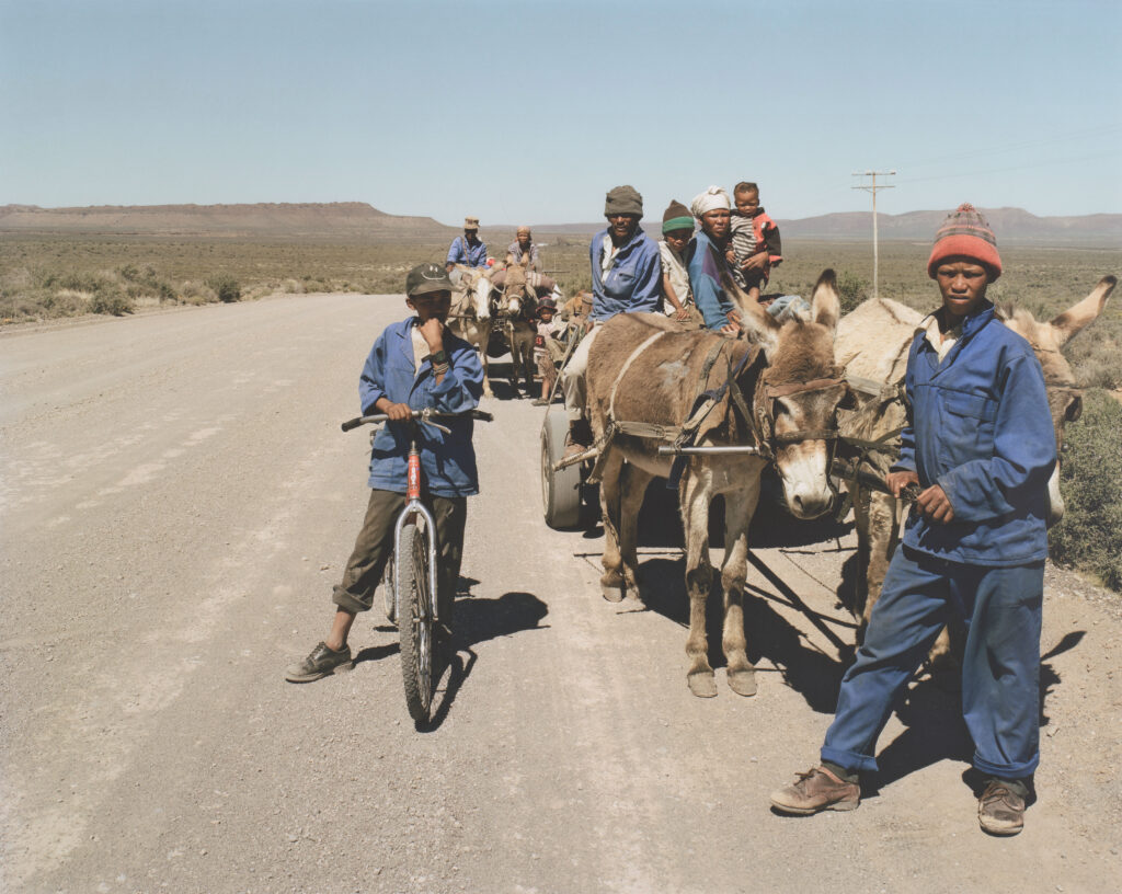 David Goldblatt.  Sheep shearers and nomadic farm workers, near Nuwe Rooiberg, Northern Cape, 2002. The Art Institute of Chicago, pledged gift of Cecily Cameron and Derek Schrier 