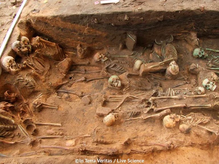 Cemetery of plague victims discovered in Nuremberg