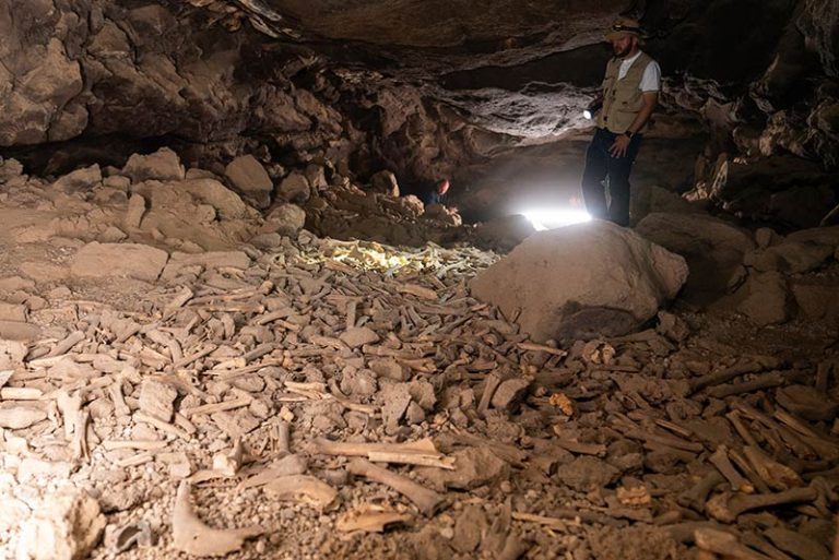 discovery of a Neolithic cave