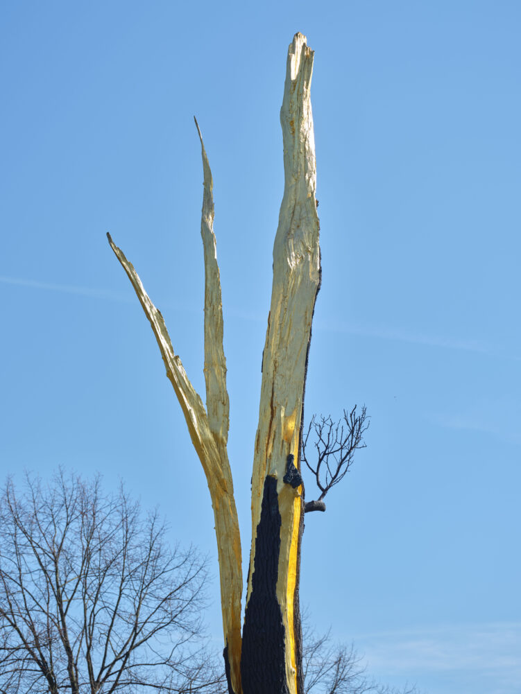 Giuseppe Penone. Folgorate Albero (Thundrastruck Tree), 2012. Courtesy of Giuseppe Penone and Serpentine