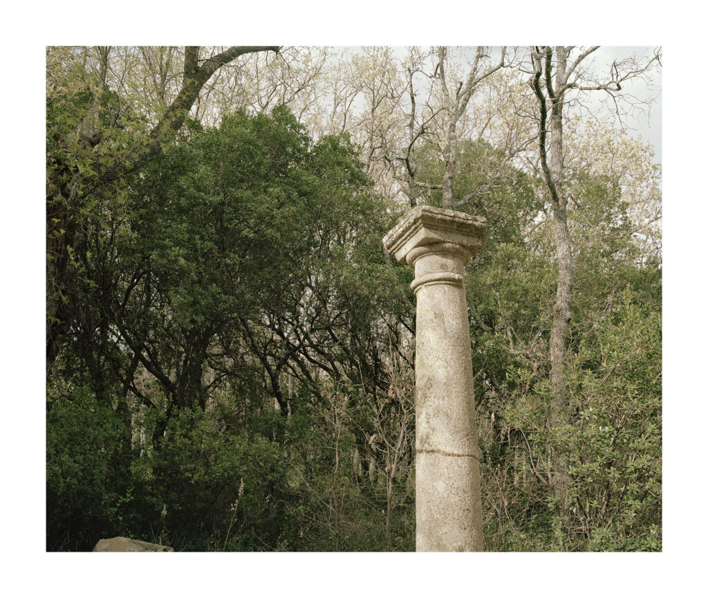 Bled and Rosa. Sun hours, 2025