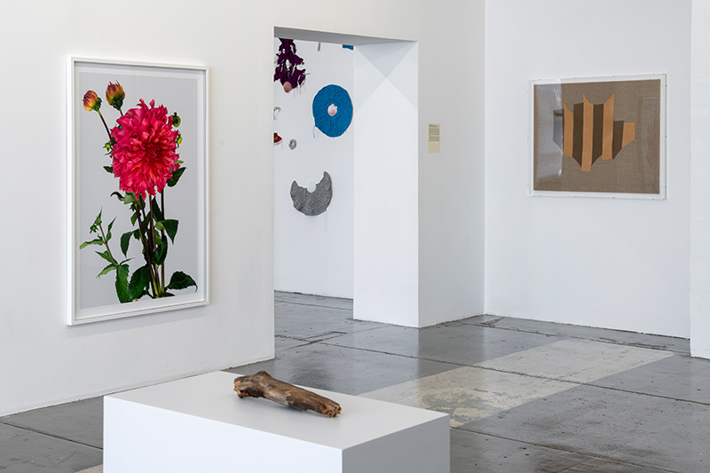 In Credac, a "modern nature" source of resilience