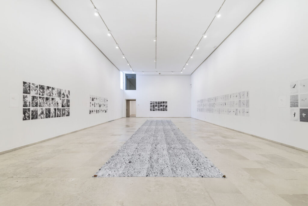 Juan del Junco. That great stretch that - even in flight - separates the dryland from two seas. HERRERIAN PATIO Museum, Valladolid
