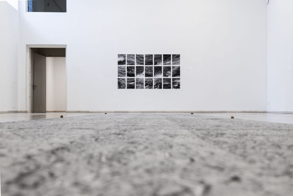 Juan del Junco. That great stretch that - even in flight - separates the dryland from two seas. HERRERIAN PATIO Museum, Valladolid