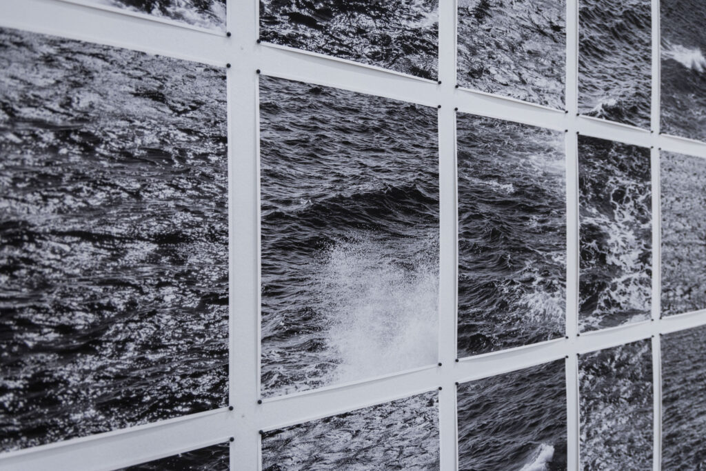 Juan del Junco. That great stretch that - even in flight - separates the dryland from two seas. HERRERIAN PATIO Museum, Valladolid
