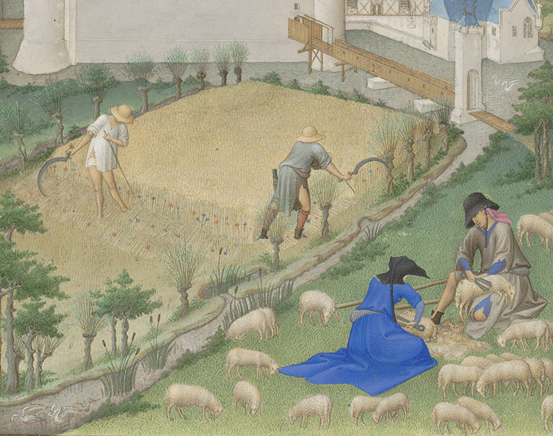 Duke's "very rich hours" "