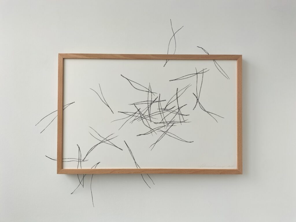 Cristina Almodóvar. Acicles, 2025