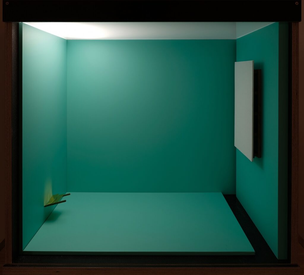 José Noguero. Space with plea (nothing happens) and paint, 2024