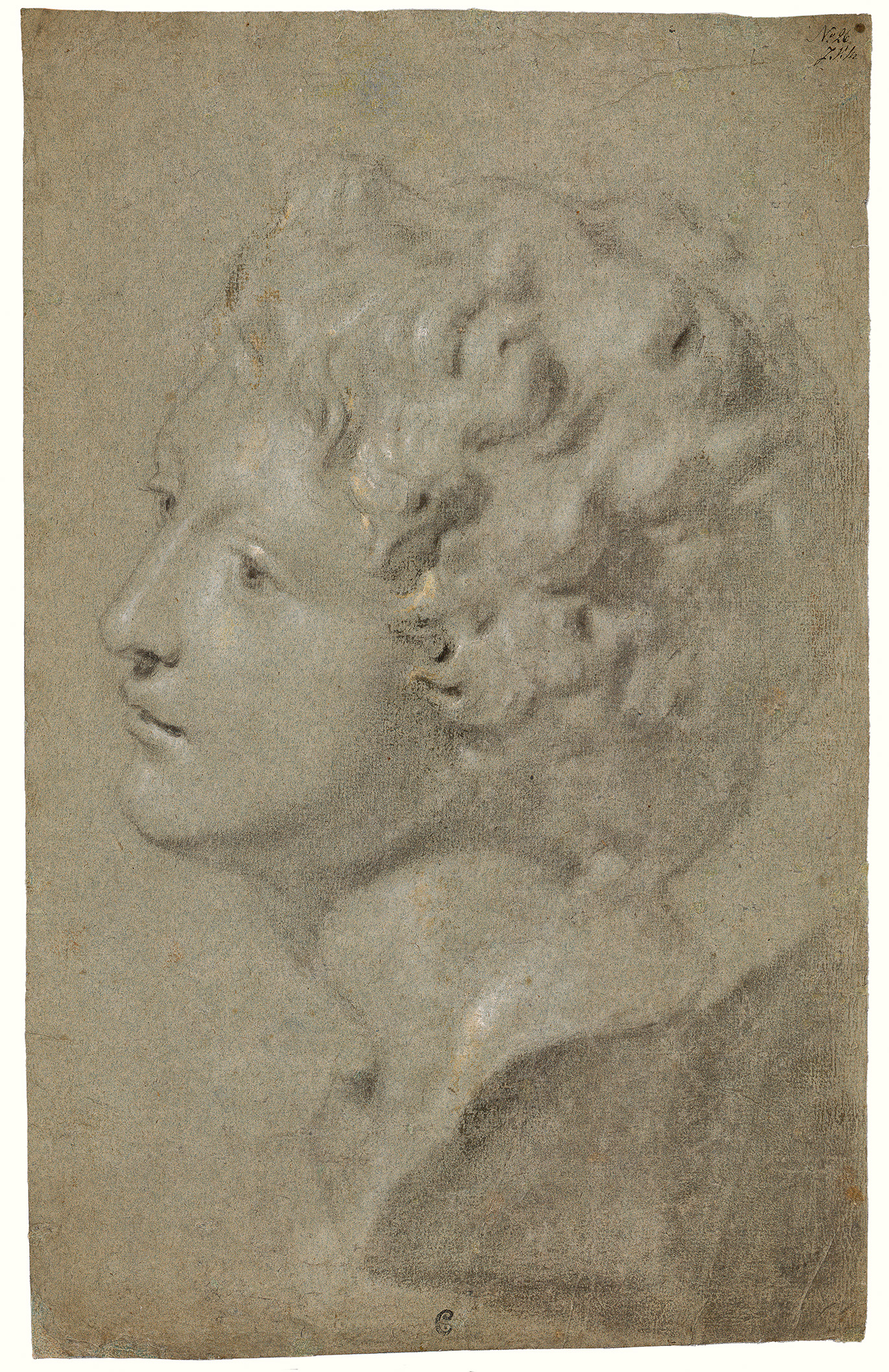 Michaelina Wautier. Study of a bust of Ganimedes, the Medici, around 1640-1650. Private collection