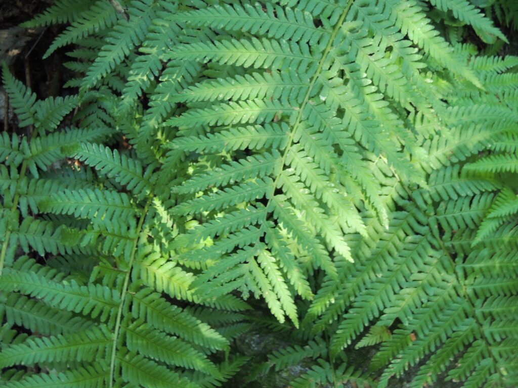 April Co -End. Tous les maux mocks sont inventés, 2023