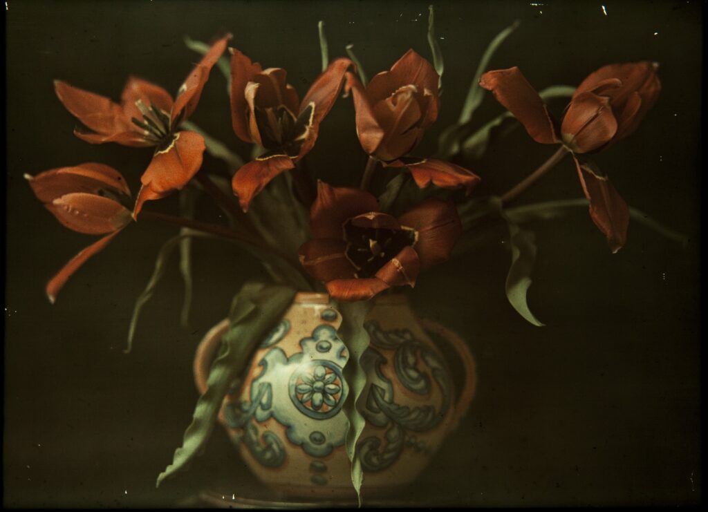 Francesc Carrera Bou. Vase with flowers, around 1922-1926. National Museum of Art of Catalonia, Barcelona. Víctor Carrera deposit, 2006 © Museu d'Art de Catalunya, Barcelona, ​​2025 