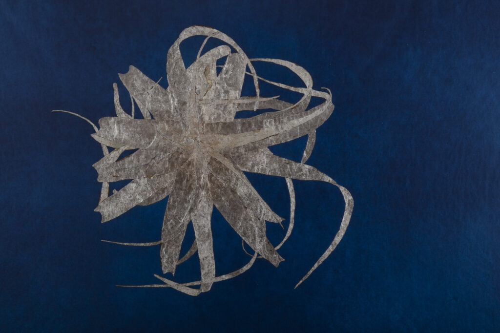 Tura Sanglas. The Multiple Eye of the Night II, 2020. Courtesy of the artist