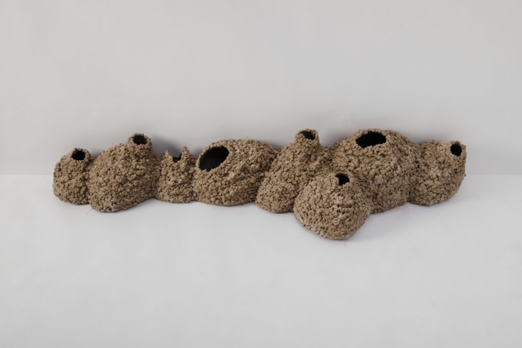 Asunción Molinos Gordo. The ancients, 2024. Courtesy of the artist and Travesía Cuatro, Madrid © Asunción Molinos Gordo, Bilbao 2025