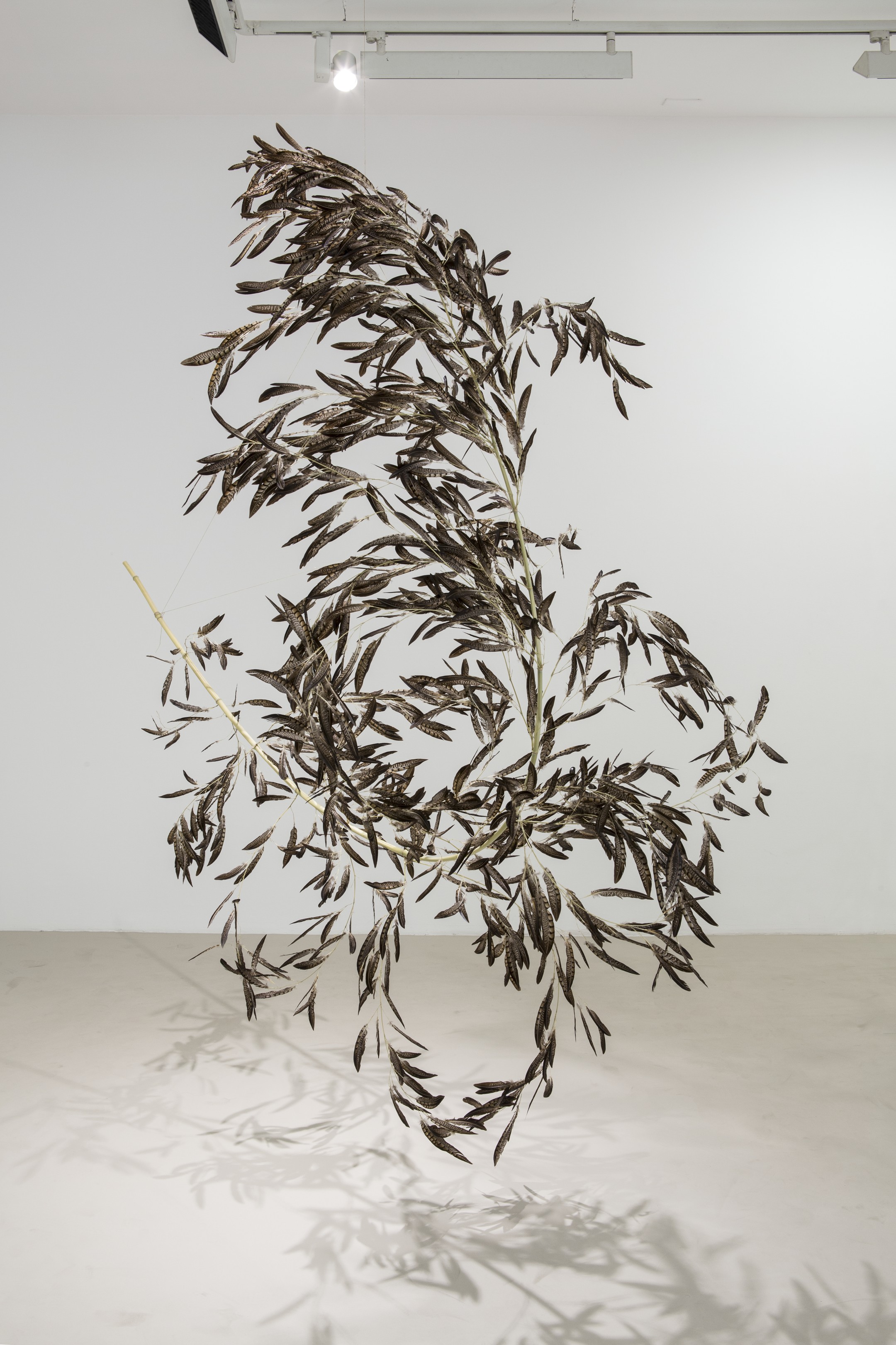 Gabriel Orozco. Roiseau 6, 2012. Courtesy of the artist and Galerie Chantal Crousel, Paris © Gabriel Orozco, Bilbao 2025 Photography: Florian Kleinefenn