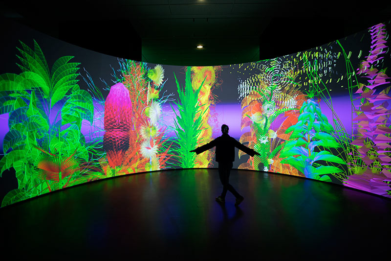 Miguel Chevalier in Angers, a distorted digital