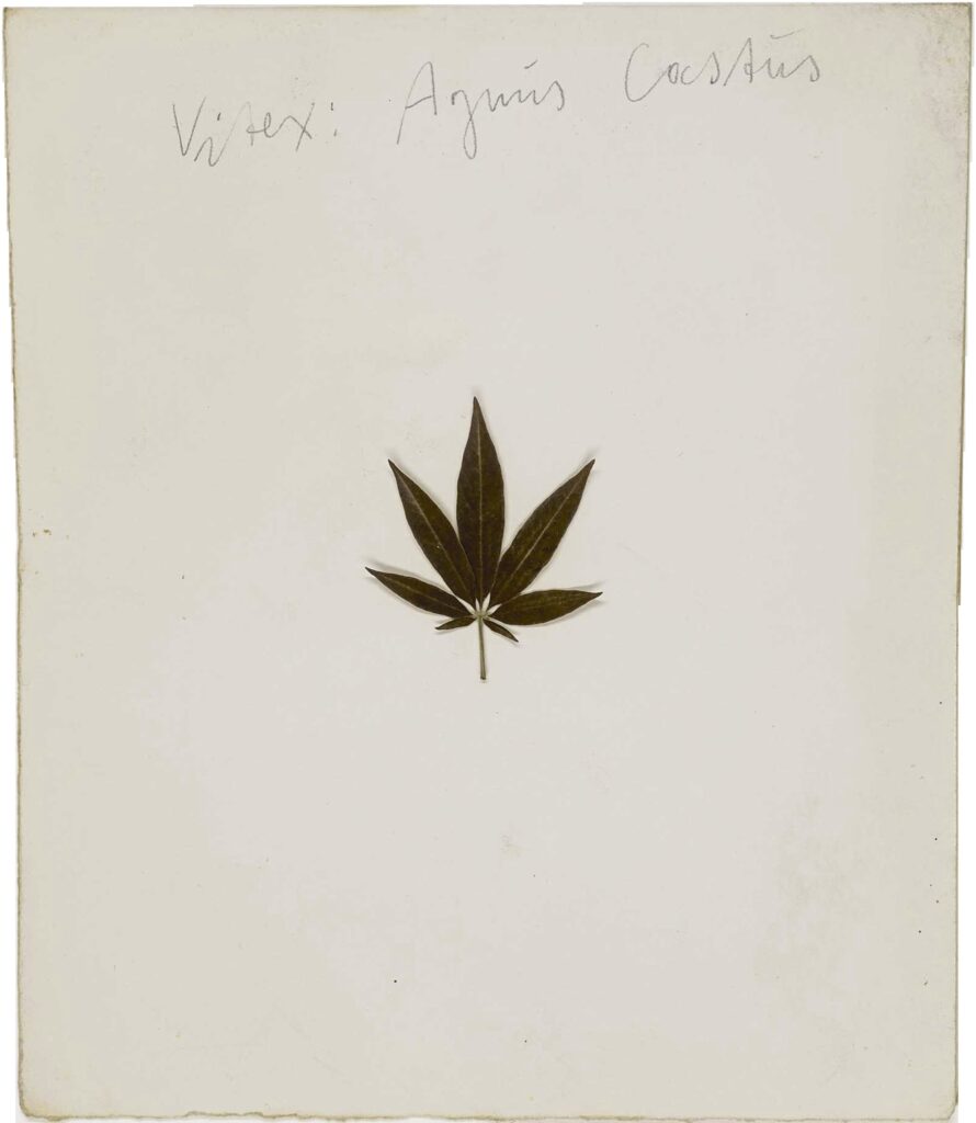 Joseph Beuys. Sin título. Cortesía de Galerie Thaddaeus Ropac, London, Paris, Salzburg, Milan, Seoul © Estate of Joseph Beuys / VEGAP, Bilbao, 2025