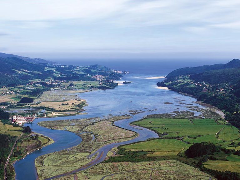 Urdaibai’s Guggenheim project finally abandoned