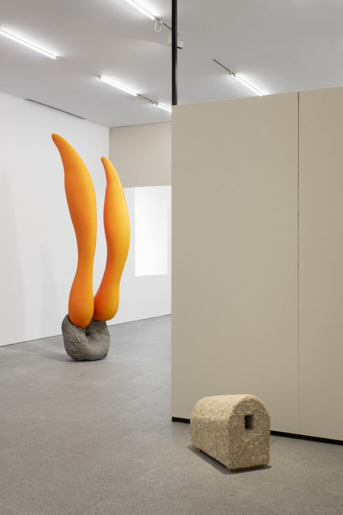 View of Room 13 New materialisms, with works by Teresa Solar Abboud and Joan Rom. © Teresa Solar, VEGAP, Madrid, 2026. Photography: Roberto Ruiz