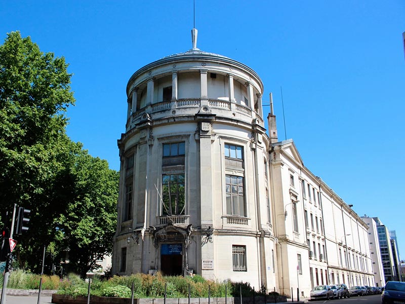 In Lyon, what future for the Guimet museum?