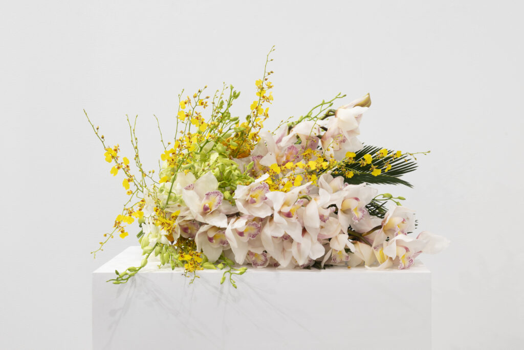 Kapwani Kiwanga. Flowers for Africa (Guinée Bissau), 2026. © Kapwani Kiwanga. Museo Reina Sofía