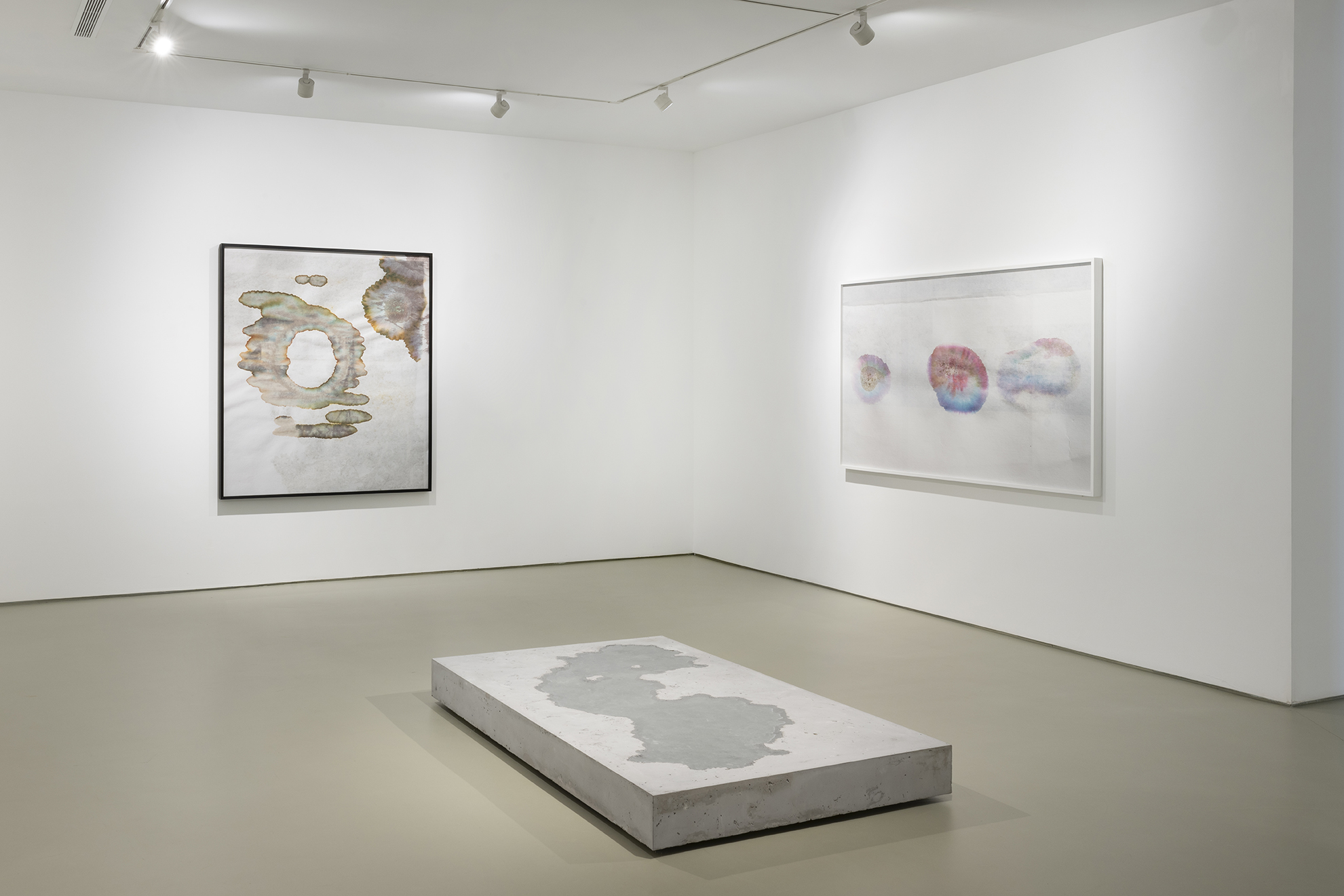 To Kassen, the happy anomalies