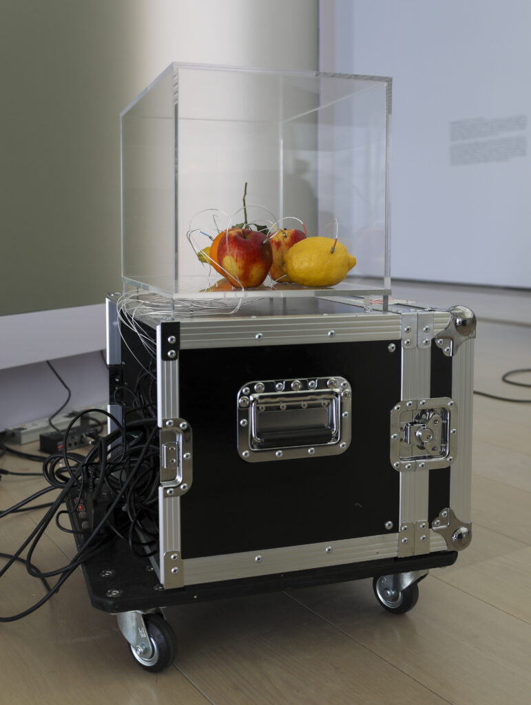 Yuko Mohri. Decomposition, 2021-ongoing. Photography: Belén de Benito