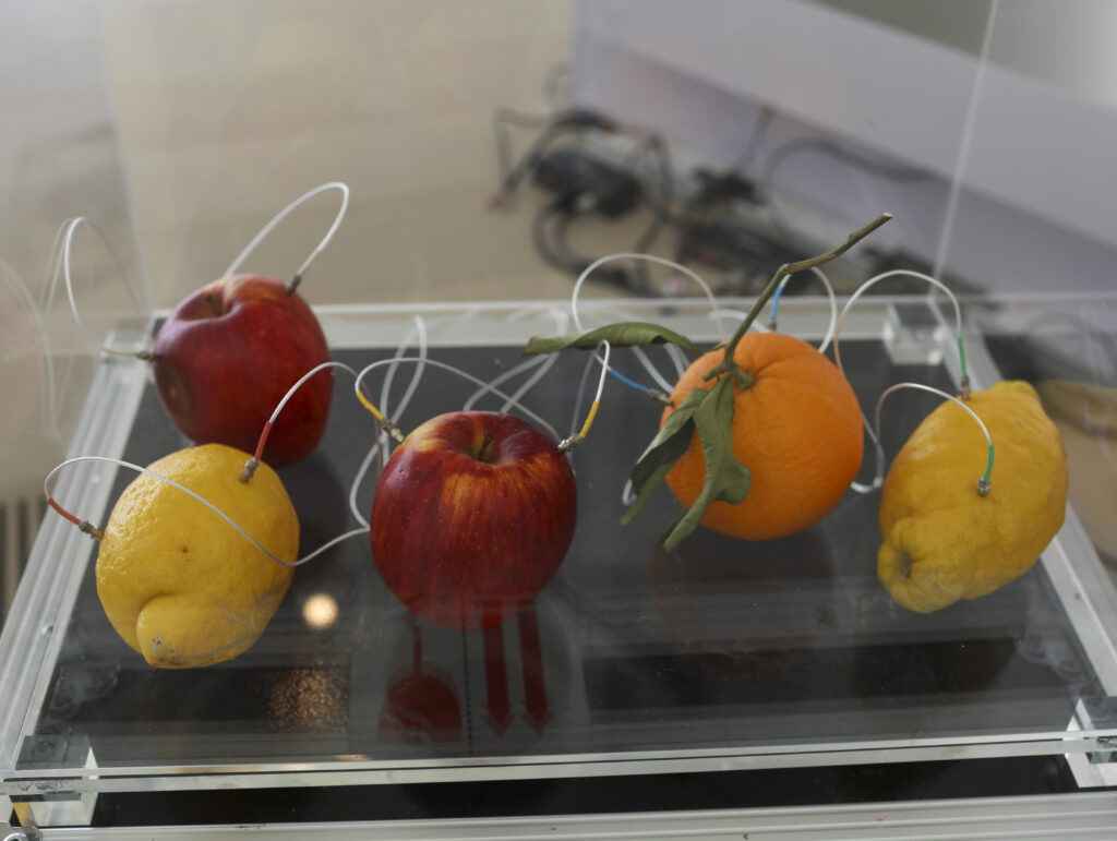 Yuko Mohri Decomposition, 2021-ongoing