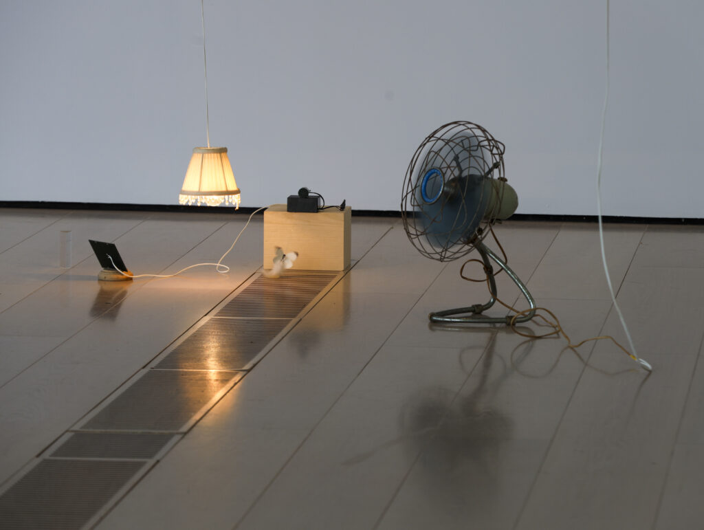 Yuko Mohri I/O, 2011-ongoing