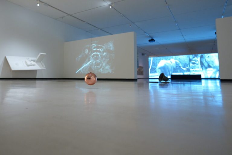 Anonymous: action and study of Txuspo Poyo