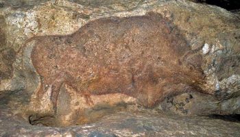 In Dordogne, the first direct radiocarbon dating of cave paintings
