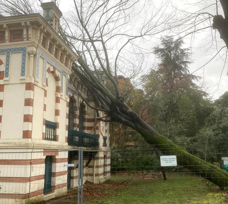 In Toulouse, fate befalls the Georges-Labit Museum