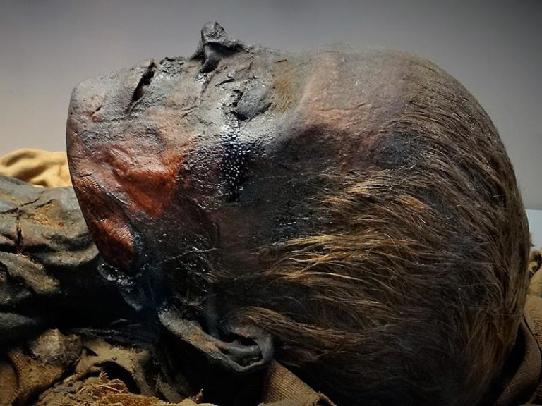 In the United Kingdom, almost 263,000 human remains preserved in museums