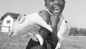 Jurgen Schadeberg, violence and haunting of South Africa