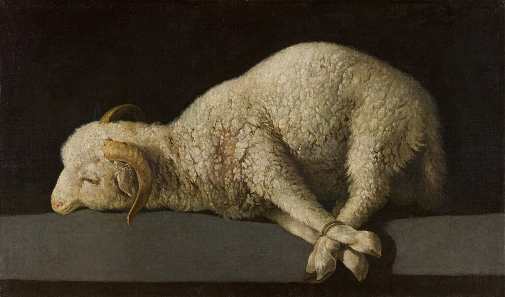 Zurbaran. Agnus Dei, around 1635-1640. National Prado Museum