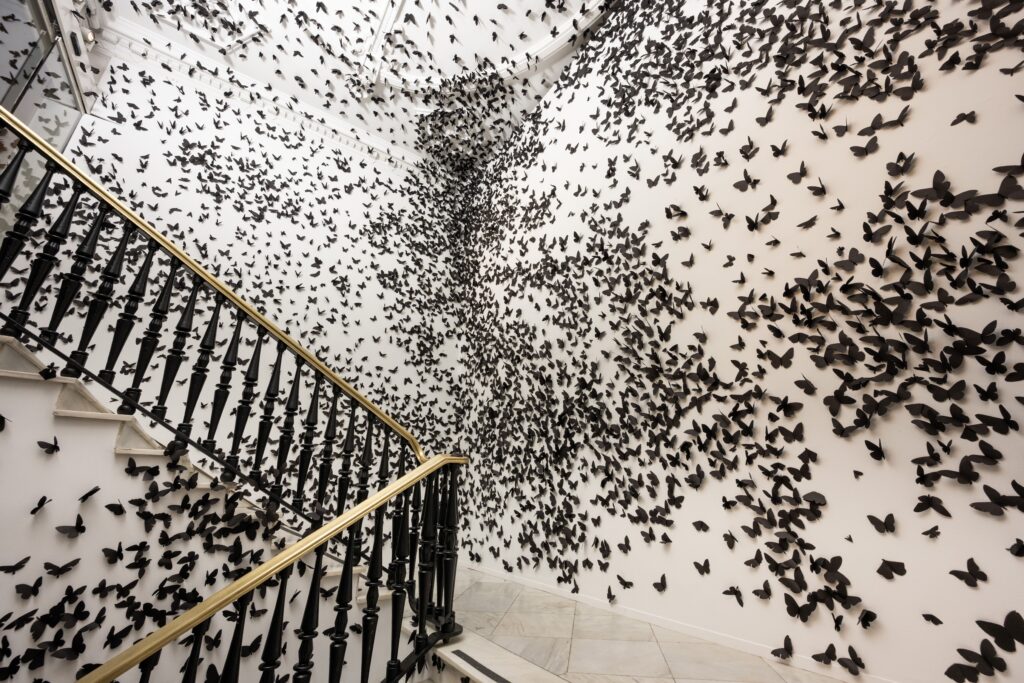 Carlos Amorales. Black cloud. Casa de México Foundation in Madrid