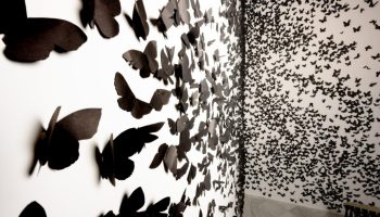 Black cloud: Carlos Amorales and the spooky beautiful