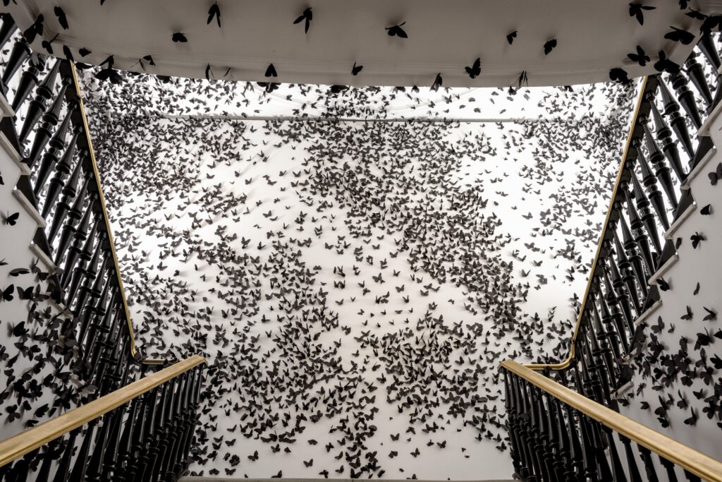 Carlos Amorales. Black cloud. Casa de México Foundation in Madrid