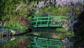 Monet’s gardens put to the test of overtourism