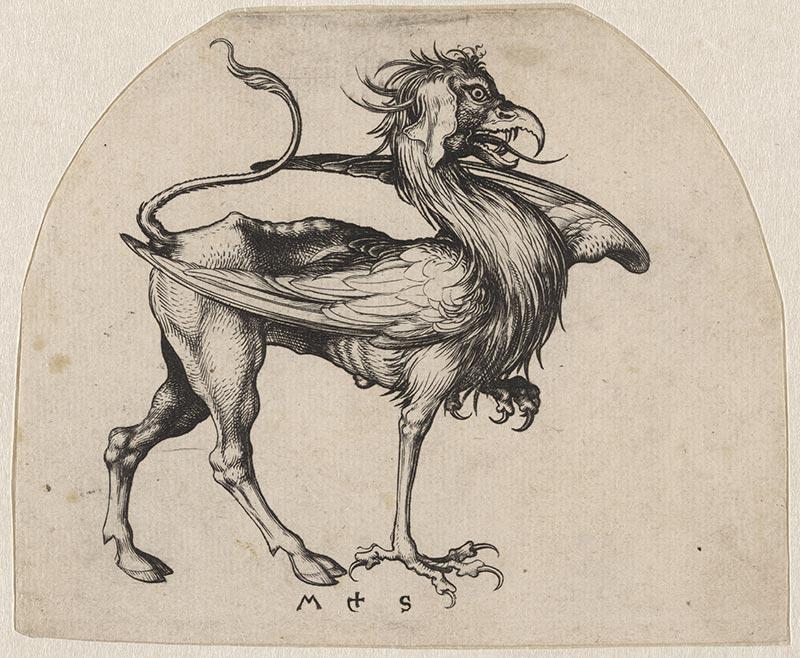 Martin Schongauer (1448-1491), The Griffon, circa 1470-1475, engraving, 10 x 13 cm, Paris, Musée du Louvre. © GrandPalaisRmn / Tony Querrec