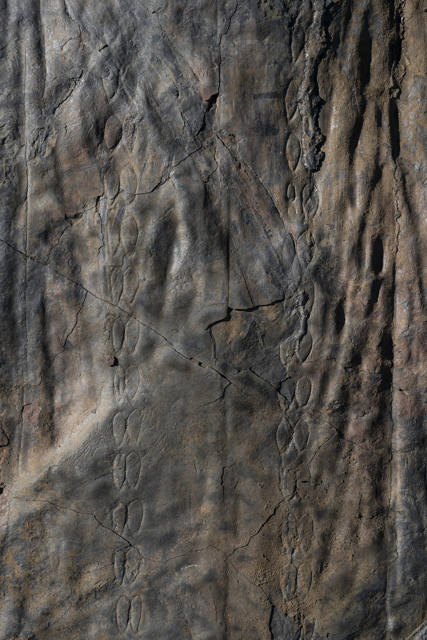 Jorge Yeregui. Soils of La Inglesa I, 2023. The Soils of Peal Series