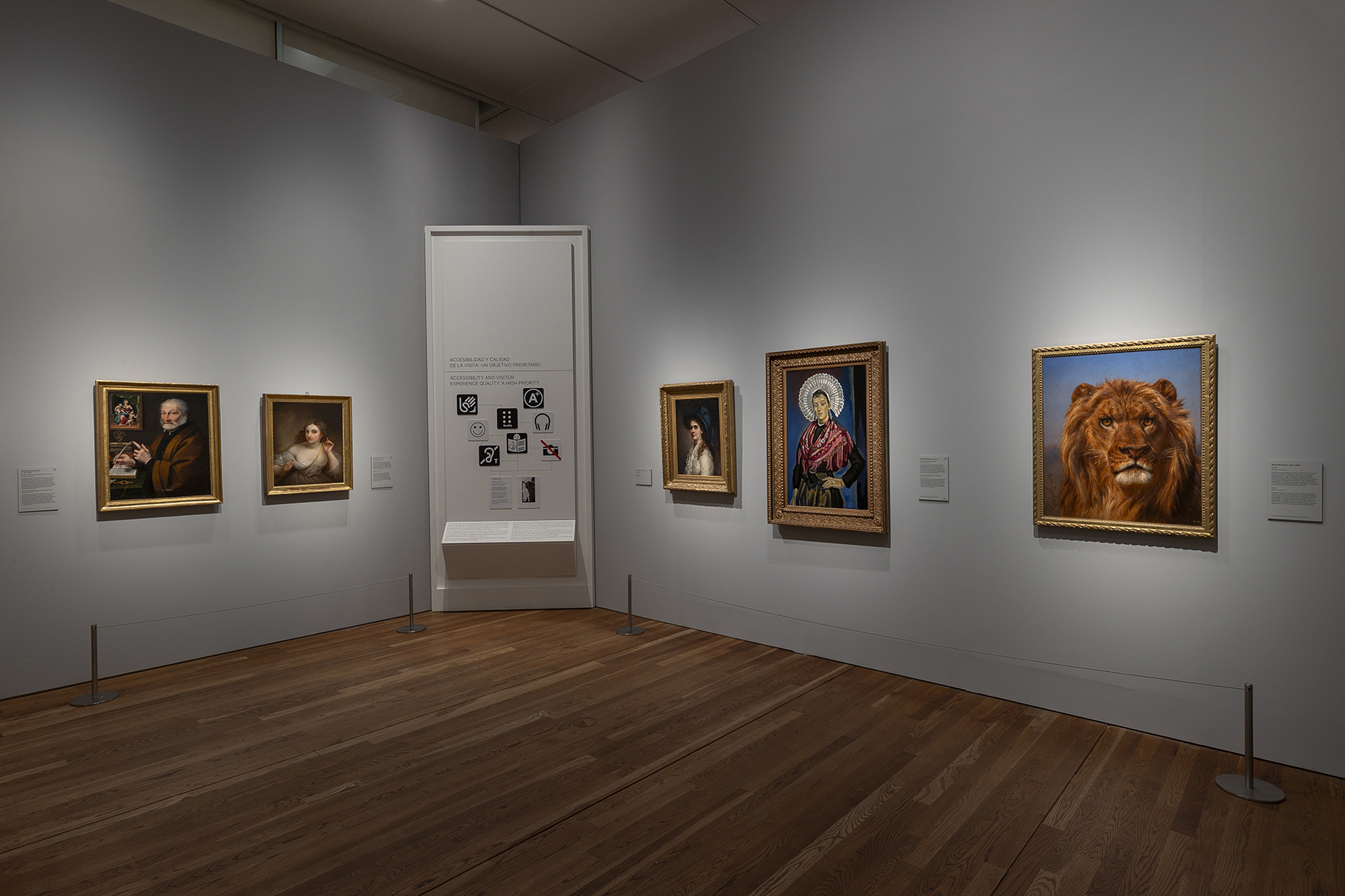 Image of the rooms of the exhibition 