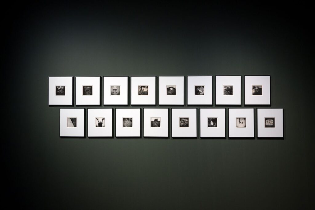 Cannon Bernaldez. Fears. Casa de México Foundation, 2026