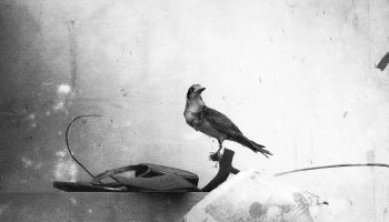 Manuel Franquelo and the language of small things, at the Thyssen Málaga