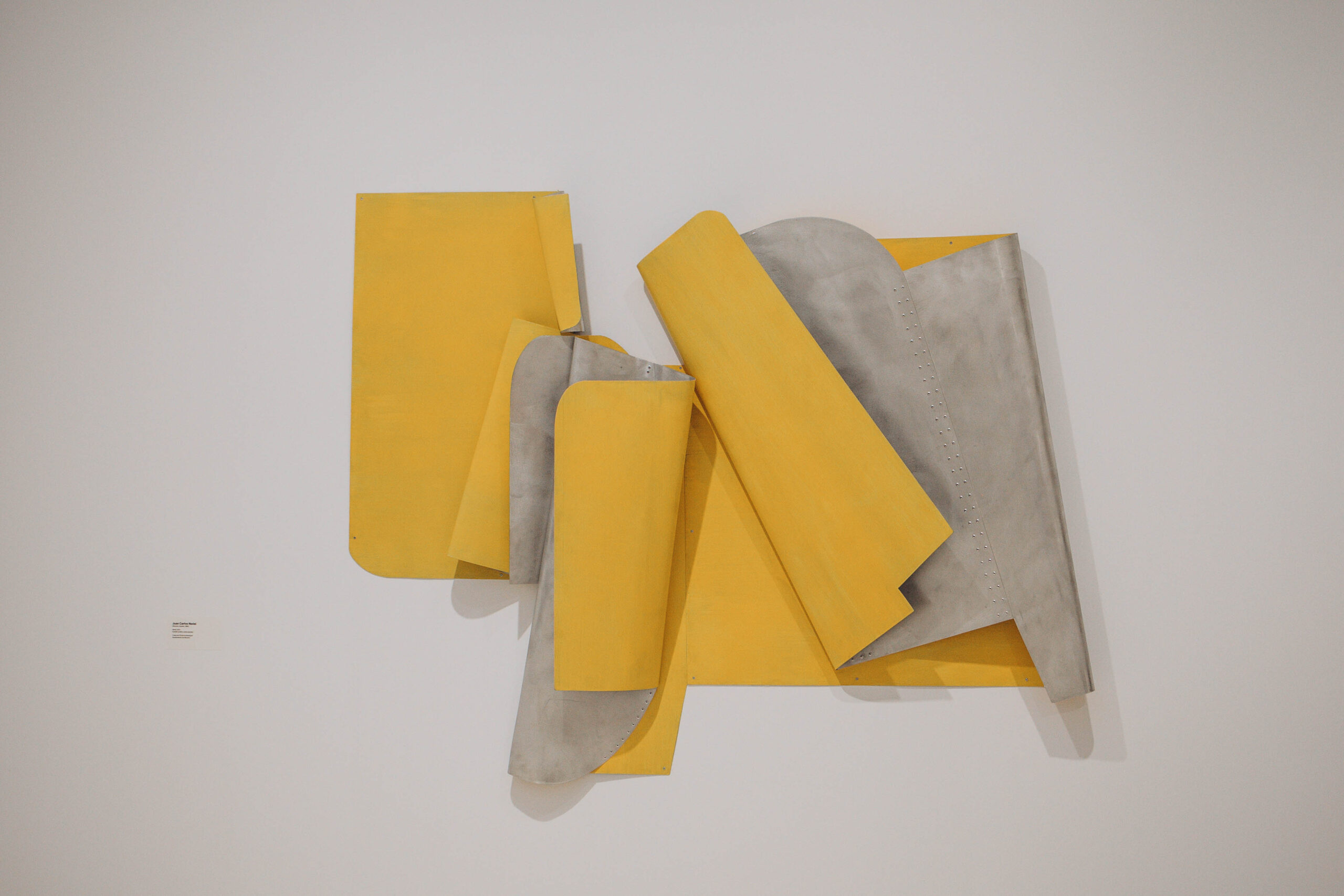 Coloramas: color happens, now at MACA Alicante