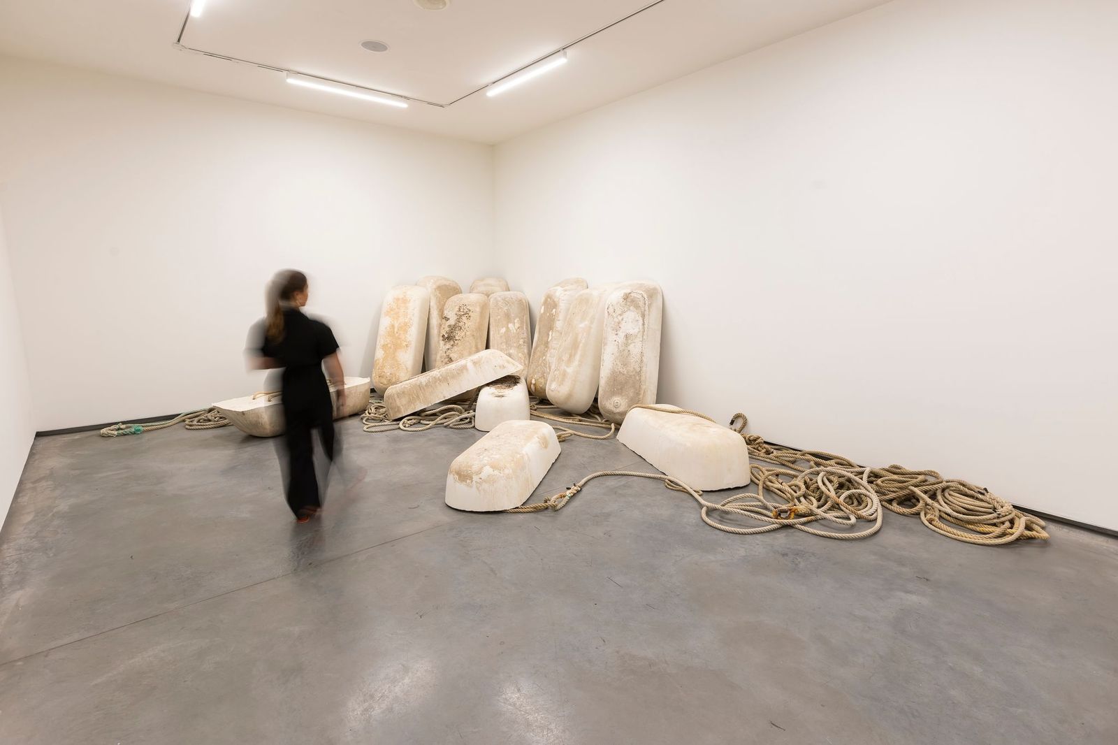 Patricia Gómez and María Jesús González. Stultifera navis. Wreck, 2021-2022