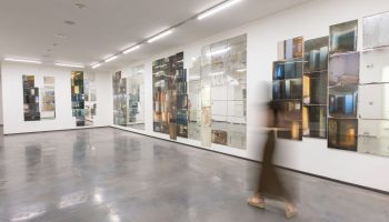 González, Gómez and the mirror of the world, in the Helga de Alvear Museum