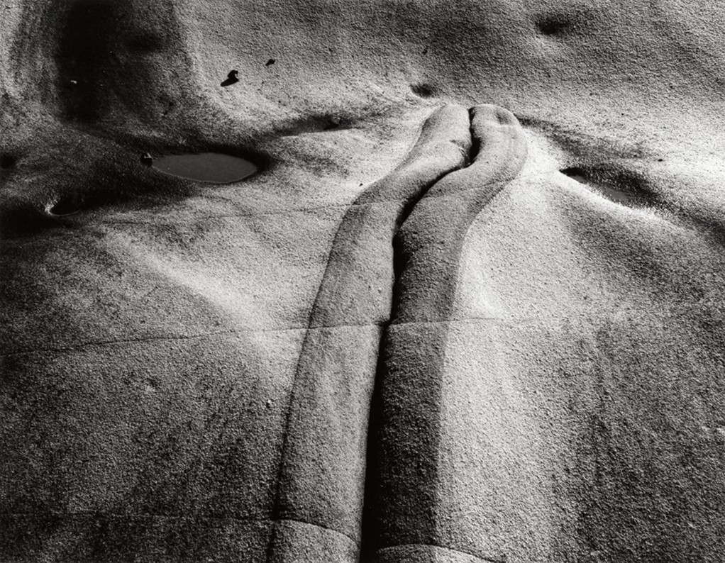 Minor White. Point Lobos State Park, California, from Fourth Sequence, 1950. The Minor White Archive, Princeton University Art Museum, arrival of Minor White © Trustees of Princeton University