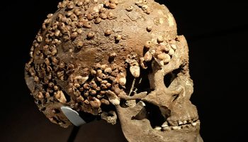 Funeral practices in prehistory